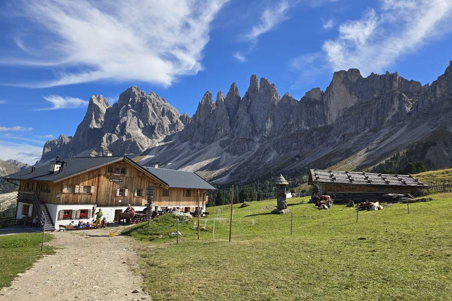 Alpine hut with the jagged Odle peaks behind and cows on the meadow