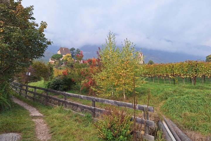 Autumn vineyards and a castle on a walking trail in South Tyrol