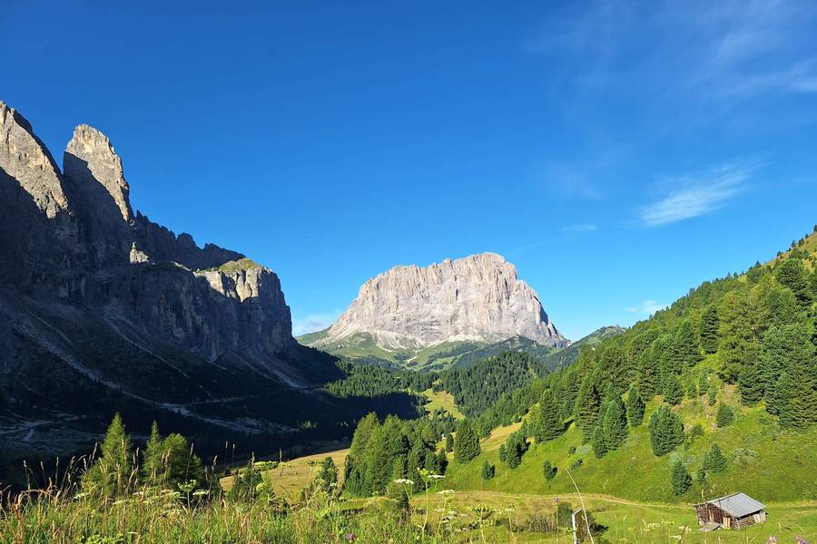 Sassolungo mountain group seen from Val Gardena in summer