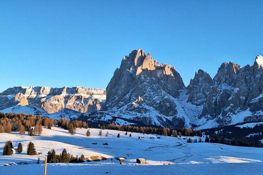 Snow-covered Alpe di Siusi with the Sassolungo and Sciliar mountains in winter light