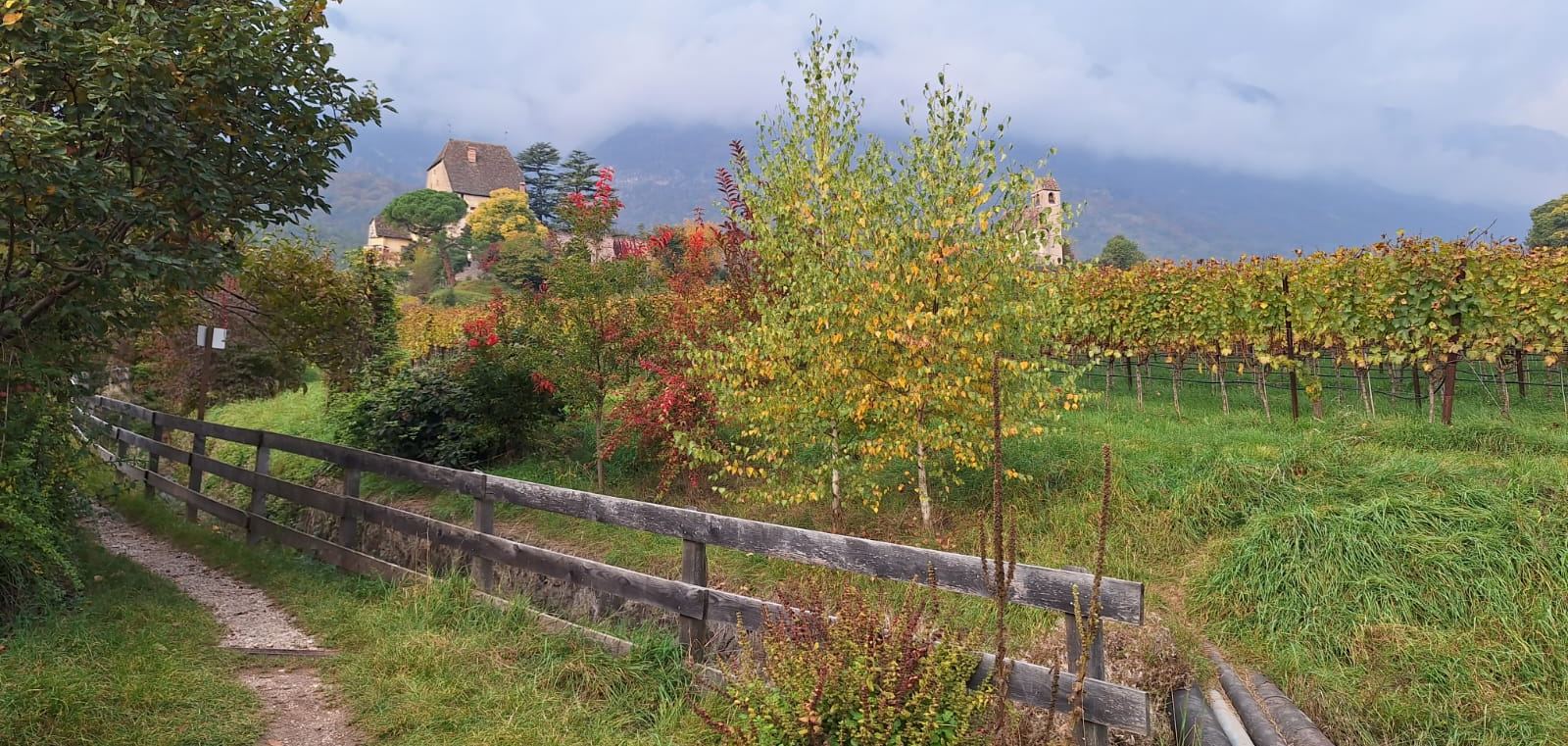 Path along vineyards in autumn near Bolzano with a castle in the distance