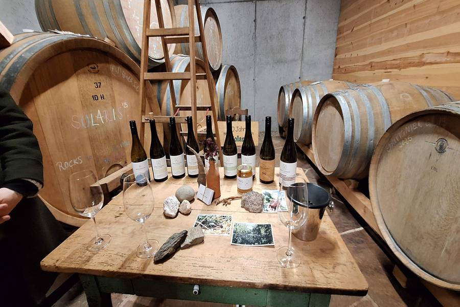 Wine tasting table with bottles and glasses in a barrel cellar
